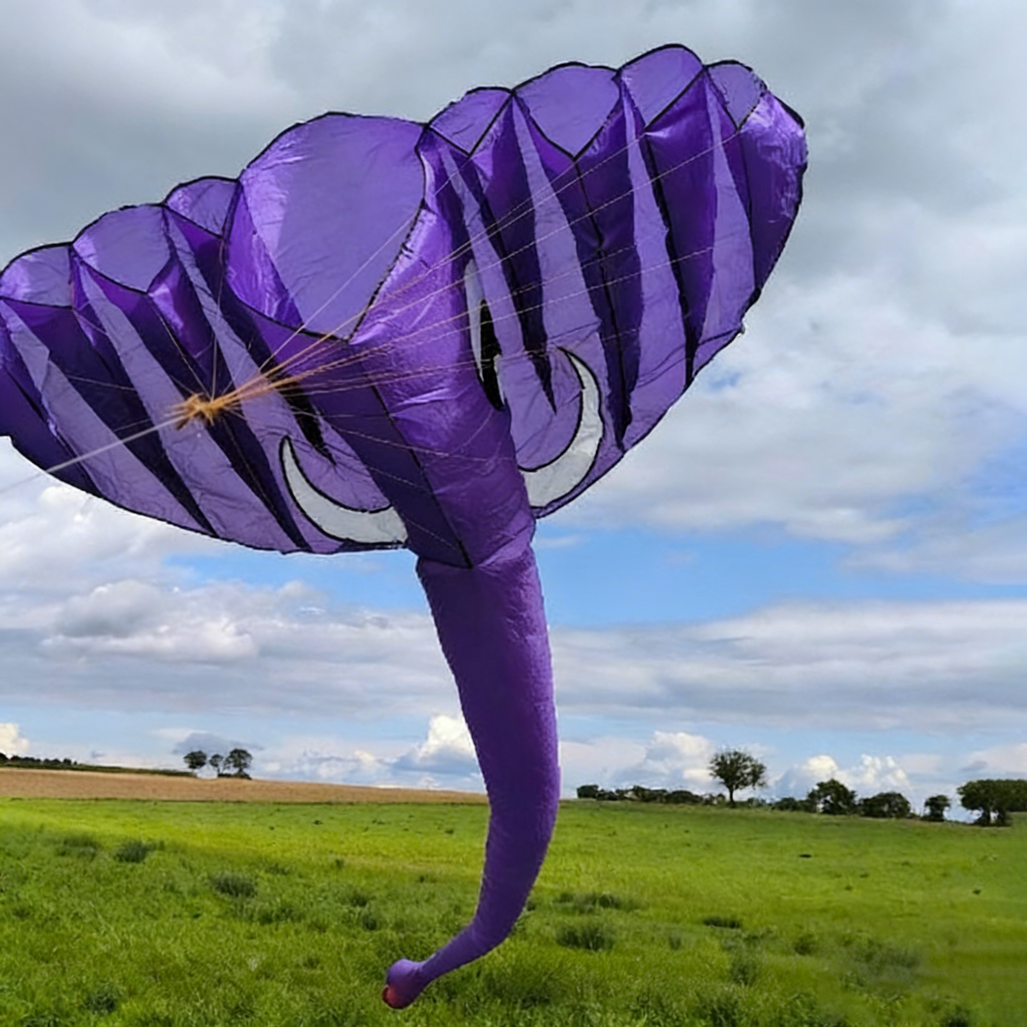 Outdoor Power Reel - 3.8M Inflatable Elephant Kite. Professional, easy-to-fly,