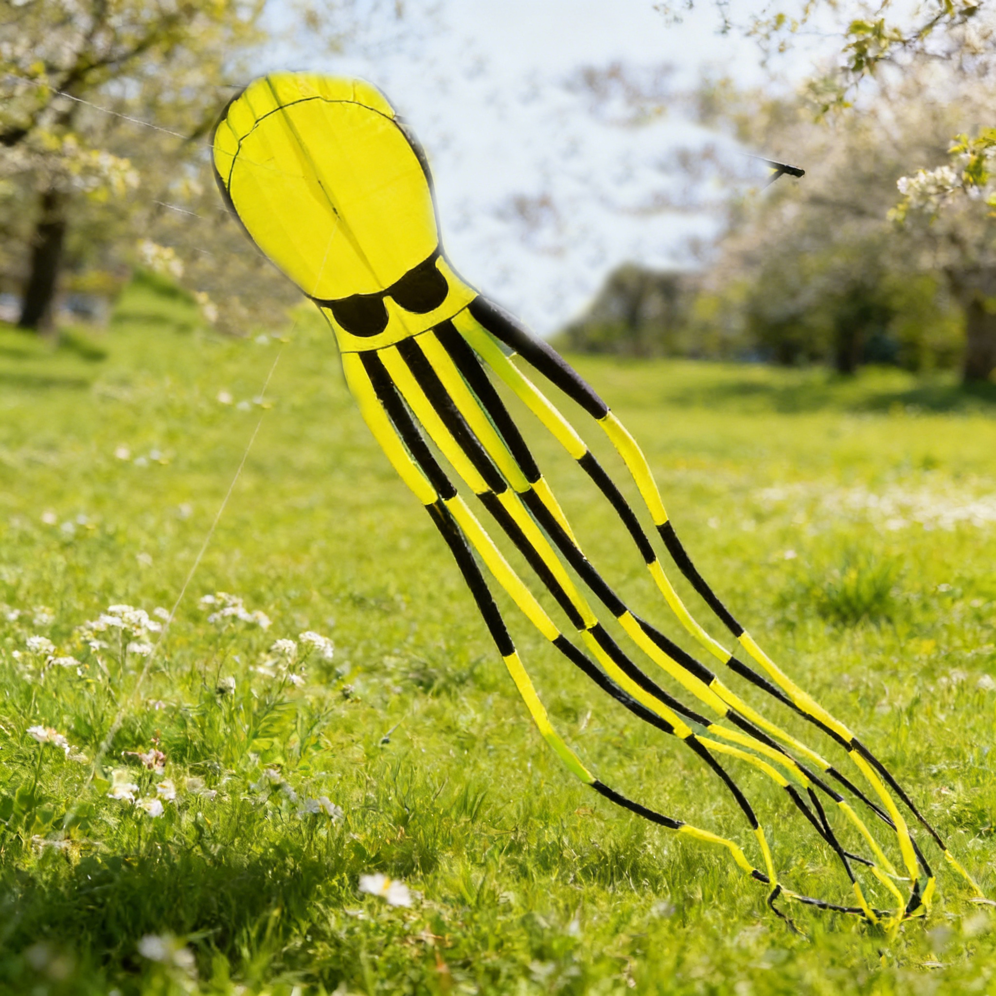 Outdoor Power Reel - 10m Pirate Octopus Soft-body Kite. Large