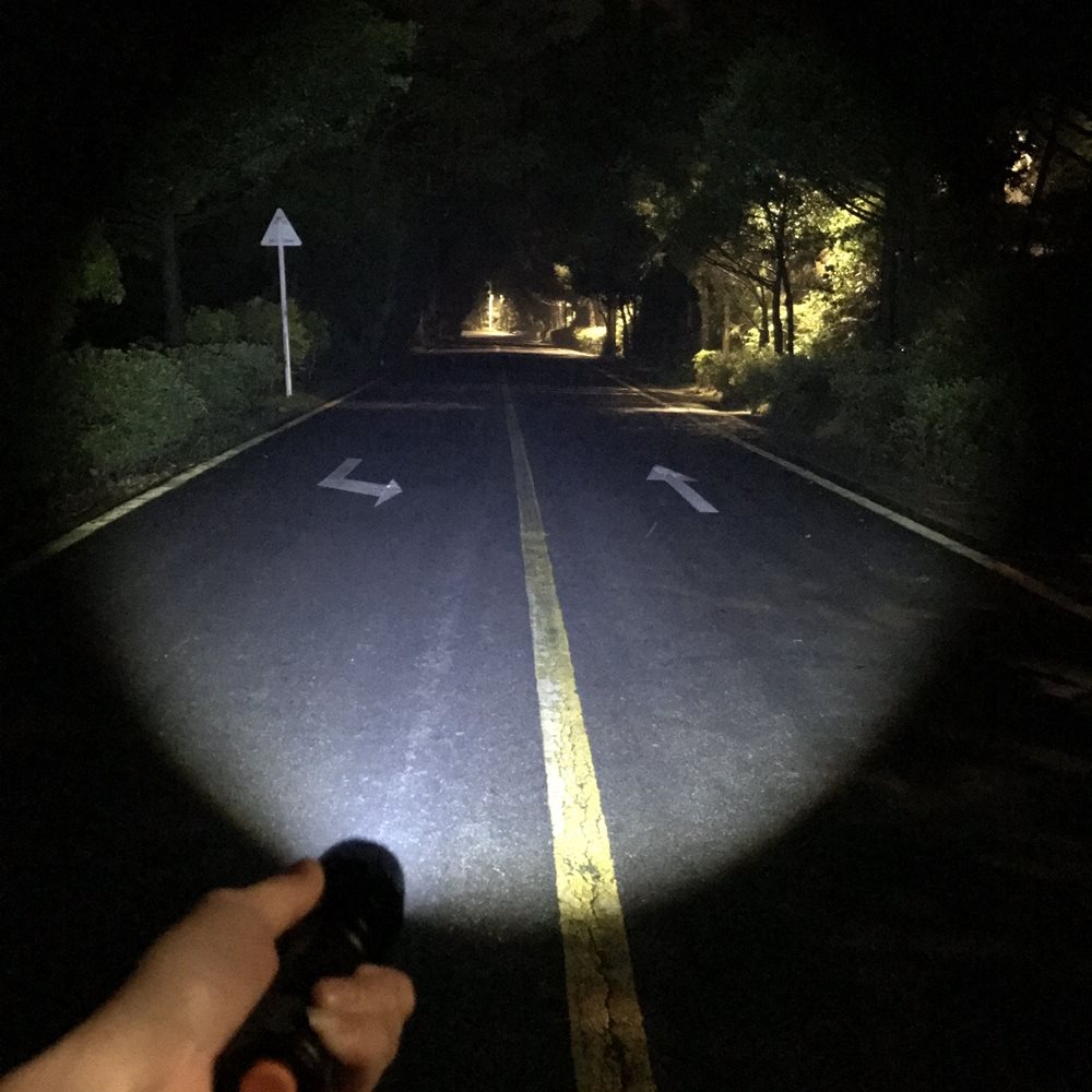 Zoom 2in-1 White+Blue Light LE - Outdoor Power Not Working review and price