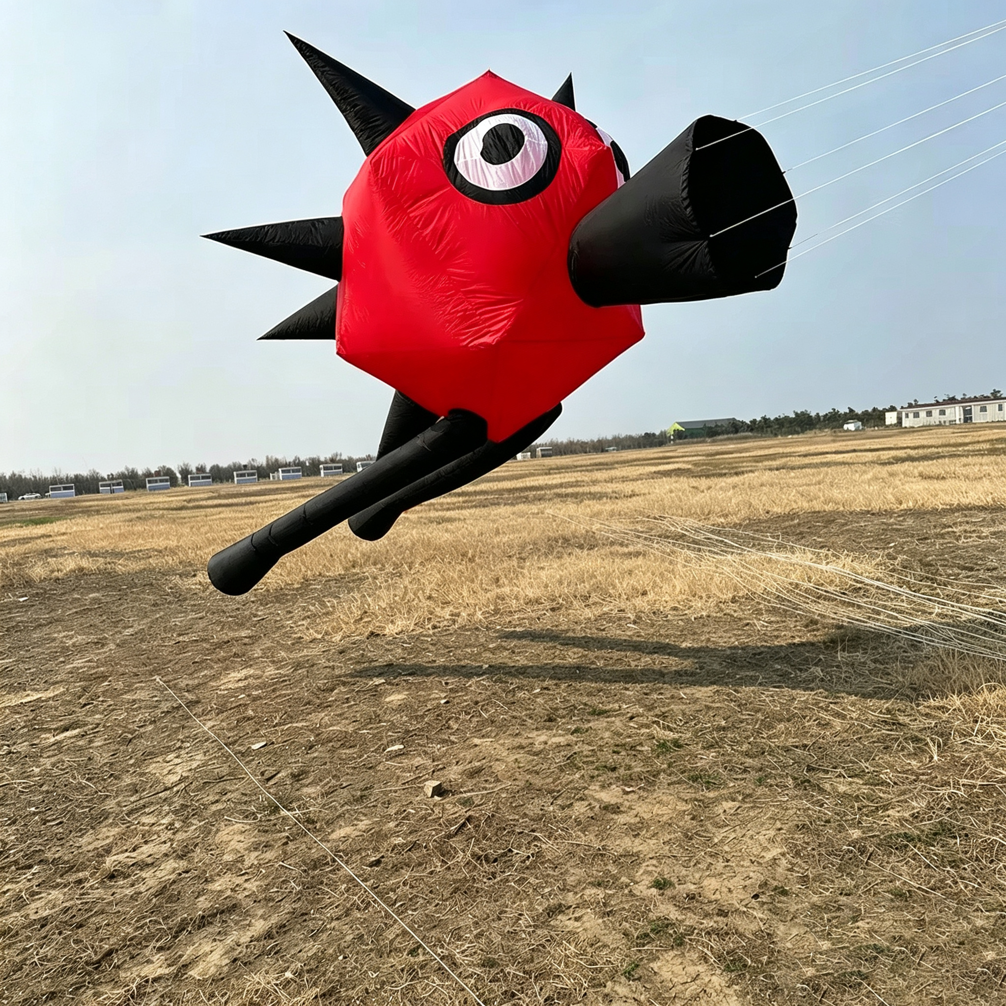 3D Soft Inflatable Thorn Bird  - Outdoor Power Reel review and price